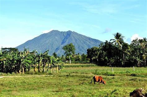 ‘Walang kasing sarap ang buhay sa bukid’ | Pilipino Star Ngayon