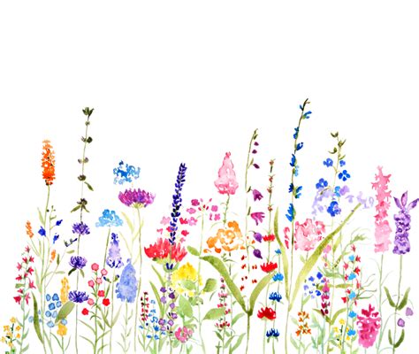 colorful wildflower fields watercolor Art Print by Color and Color - X ...