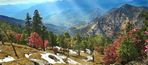 Almora Beautiful Place To Visit In Uttrakhand - अनोखा है खूबसूरत ...