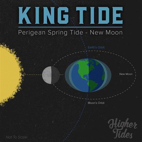 New Moon King Tide Infographic Moon Moon, New Moon, Full Moon, Spring Tide, Ocean Science, Tv ...