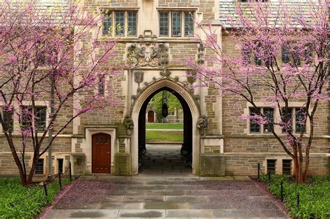 Princeton Campus Tour | AdmissionSight