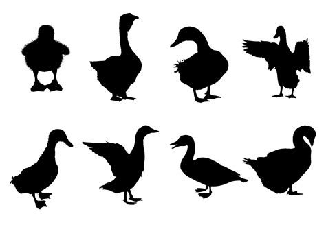 Free Duck Silhouette Vectors - Download Free Vector Art, Stock Graphics & Images