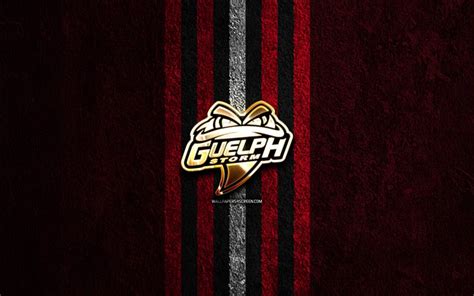 Download Guelph Storm golden logo, 4k, red stone background, OHL ...