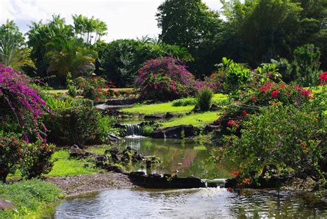 Nani Mau Gardens – A ‘Forever Beautiful” Garden in Hilo, Hawaii | Only In Hawaii