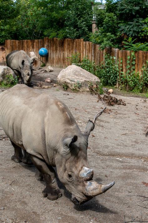 Exploring the Incredible Erie Zoo - Uncovering PA