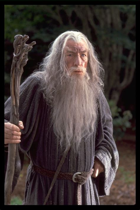 Gandalf | Lord of the rings, Gandalf the grey, Gandalf