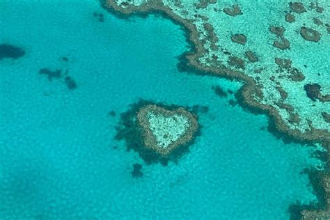 Explore Whitsundays' Vibrant Coral Reefs: A Spring Snorkeling Adventure