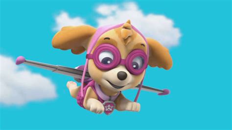 Skye, The Cockapoo - PAW Patrol Foto (40127312) - Fanpop