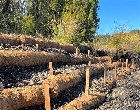 Coir Logs: A Sustainable Solution for Erosion Prevention at Oyster ...