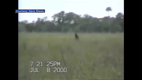 Skunk Ape Headquarters Swamp Rally Brings Attention To Elusive, Mysterious Creature - CBS Miami