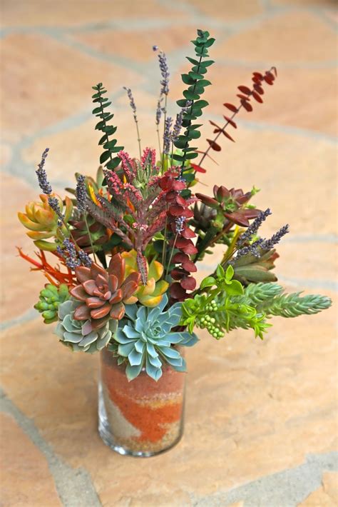 7 Reasons to Grow Succulents in the Drought | Planting succulents, Plants, Succulents