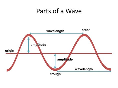 Label The Parts Of The Transverse Wave.amplitude Crest Trough Wavelength - Heat exchanger spare ...