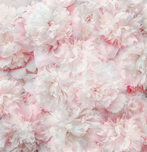 Pastel pink white flowers and petals | Arts & Entertainment Stock Photos ~ Creative Market