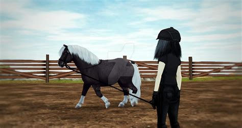 Star Stable Online - Jorvik Pony by k4thryyn on DeviantArt