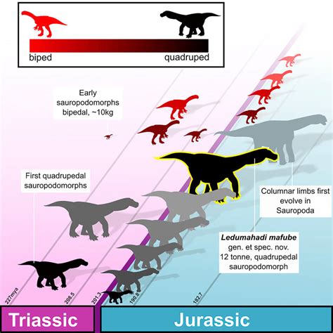 Largest-Ever Jurassic Era Dinosaur Unearthed