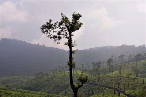 Nelliyampathy Hills Palakkad Kerala ~ Entertainment-Enter