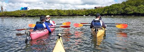 Kayaking Adventure | Santa Cruz Island, Galapagos - Andean Discovery