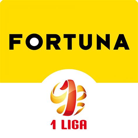 Polish I liga - TheSportsDB.com