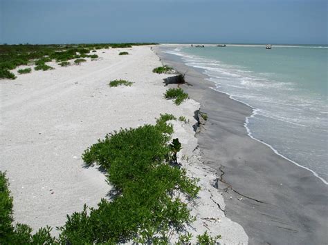 Cayo Costa Photo Memories | Blog The Beach