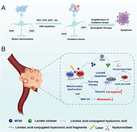 (A) Schematic illustration of amplified oxidative stress based on... | Download Scientific Diagram