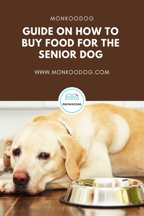 How To Buy The Best Senior Dog Food | Best senior dog food, Senior dog food recipes, Senior dog