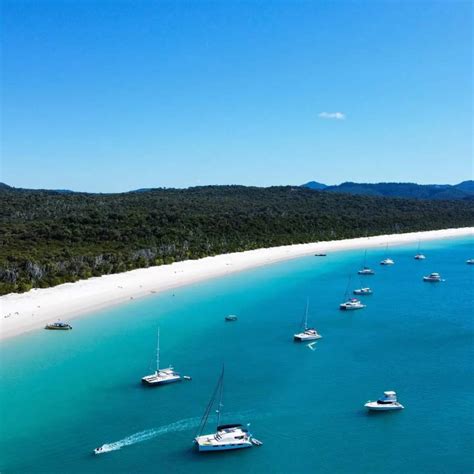 Whitehaven Beach Camping Tour | Experience Paradise