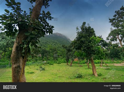 Monsoon Ajodhya Hill Image & Photo (Free Trial) | Bigstock