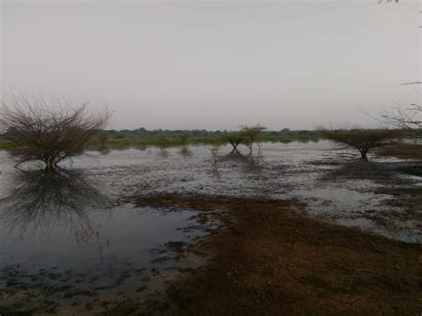 Astitva - Search for an Identity: Bangalore Lakes - Hesaraghatta