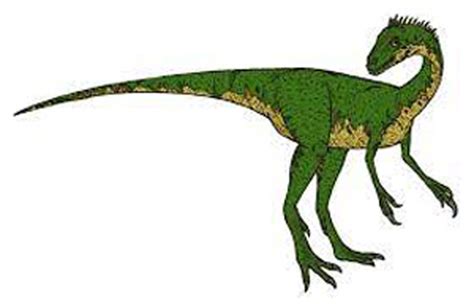 Coelurus dinosaur, facts | habitat - coelurus information