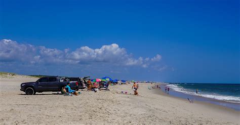 Visiting the Wild Horses of Assateague Island - Travel Shark