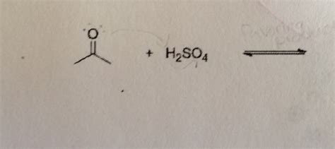 Solved What are the products of the following proton | Chegg.com