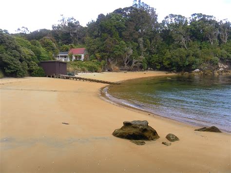 Explore and Discover Nature: Ulva Island - New Zealand island sanctuary