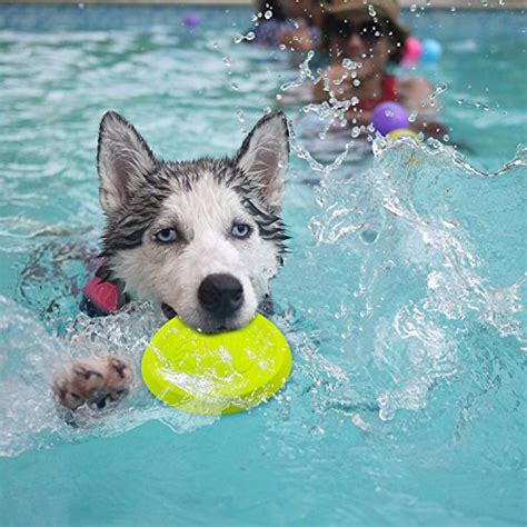 LaRoo Dog Frisbee Indestructible Dog Flying Disc Dog Toys Frisbee for Small, Medium and Large ...