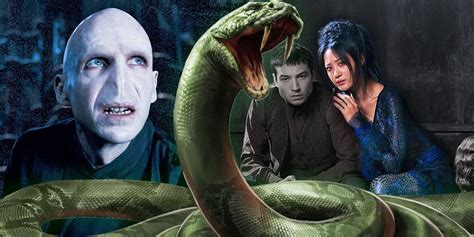 Fantastic Beasts Theory: Voldemort's Snake Nagini Is A Human Character