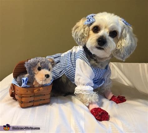 Dorothy & Toto Dog Costume