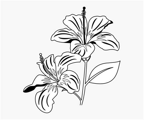 Bunch Of Flowers Black And White Clipart