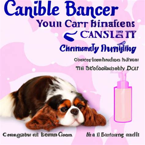 Cavalier King Charles Spaniel Allergies: Understanding and Managing ...