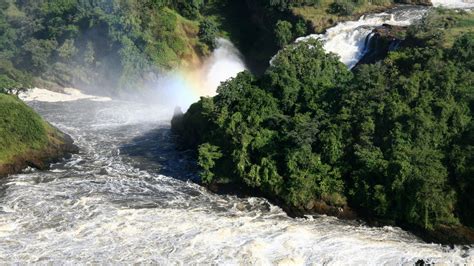 Tour Guide To Murchison Falls National Park, Activities And Attractions