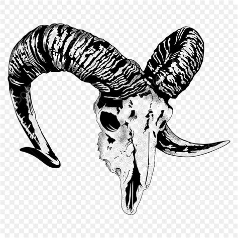 Ram Horn Vector Art PNG, Ram Skull And Horns Vector, Skull Drawing ...