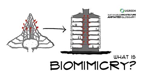 Biomimicry: Nature's Blueprint for Sustainable Architecture