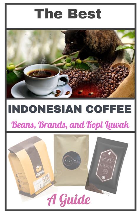 Best Indonesian Coffee – Beans, Brands, and Kopi Luwak