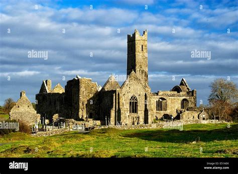 Shannon county clare hi-res stock photography and images - Alamy