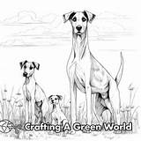Greyhound Coloring Pages  Free & Printable sketch template