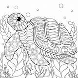 Free TURTLE Coloring Pages For Download Printable PDF sketch template