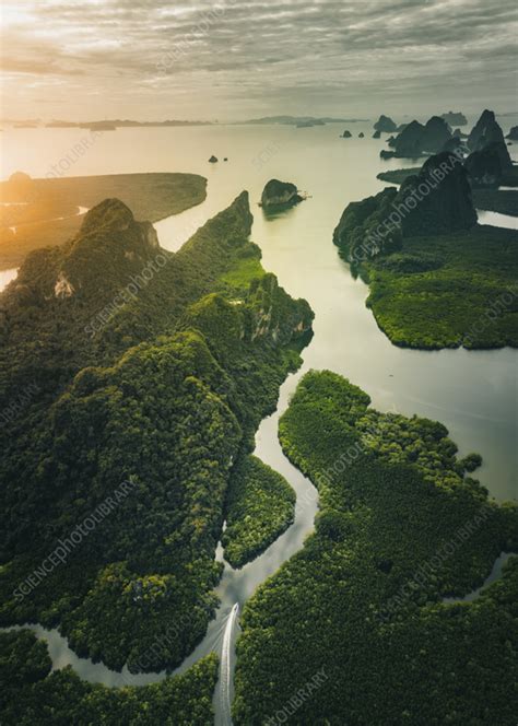 Aerial view of Phang-Nga bay at sunrise, Thailand - Stock Image - F040/4812 - Science Photo Library