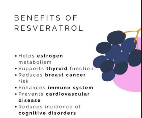 Organic Resveratrol Powder - manufacturer - undersun