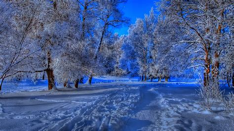 Beautiful Winter Backgrounds (51+ images)