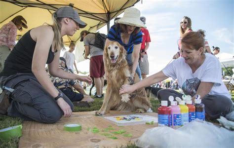 🐶 These family events are for the dogs. Literally. | to do | tucson.com