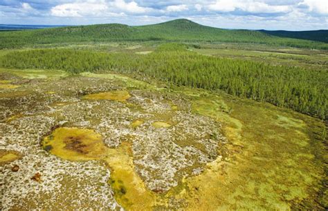 Tunguska Event: Was a mysterious blast caused by aliens? | 7NEWS.com.au