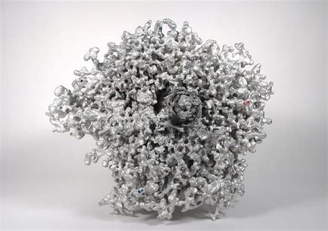 Anthill Art Creations And The Complexity of Ant Colonies